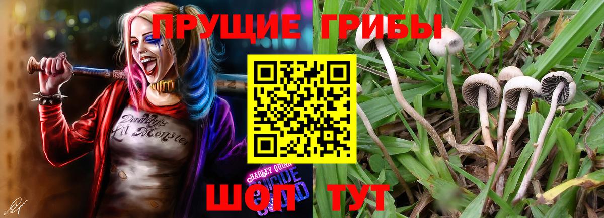 Галлюциногенные грибы Cubensis Янаул