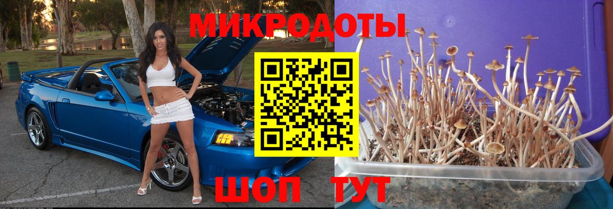 Галлюциногенные грибы MAGIC MUSHROOMS  Вход с VPN  Янаул  Псилоцибиновые грибы Magic Shrooms 